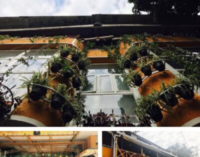 Saina Inn The Tea Property – Ritik’s